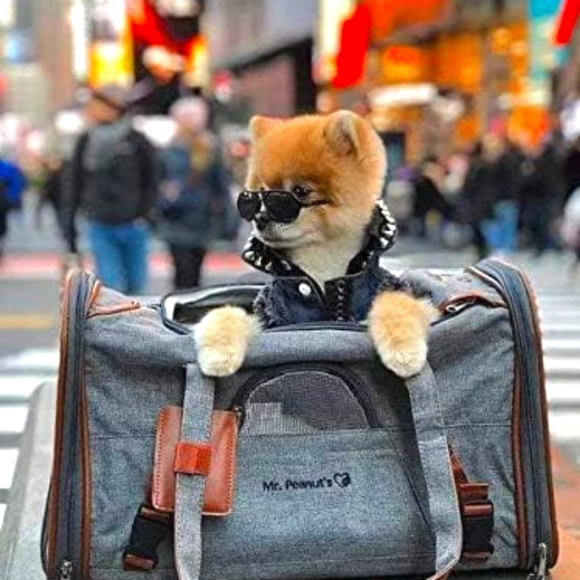 Mr. Peanut's Pet Carrier - Airline Approved & Soft Sided - Picture 1 of 8